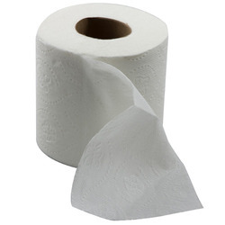 Your choice of toilet paper when you own a septic system is important.
