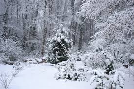 Winter is beautiful but not if the ground is frozen and you are unable to repair a failed septic system.